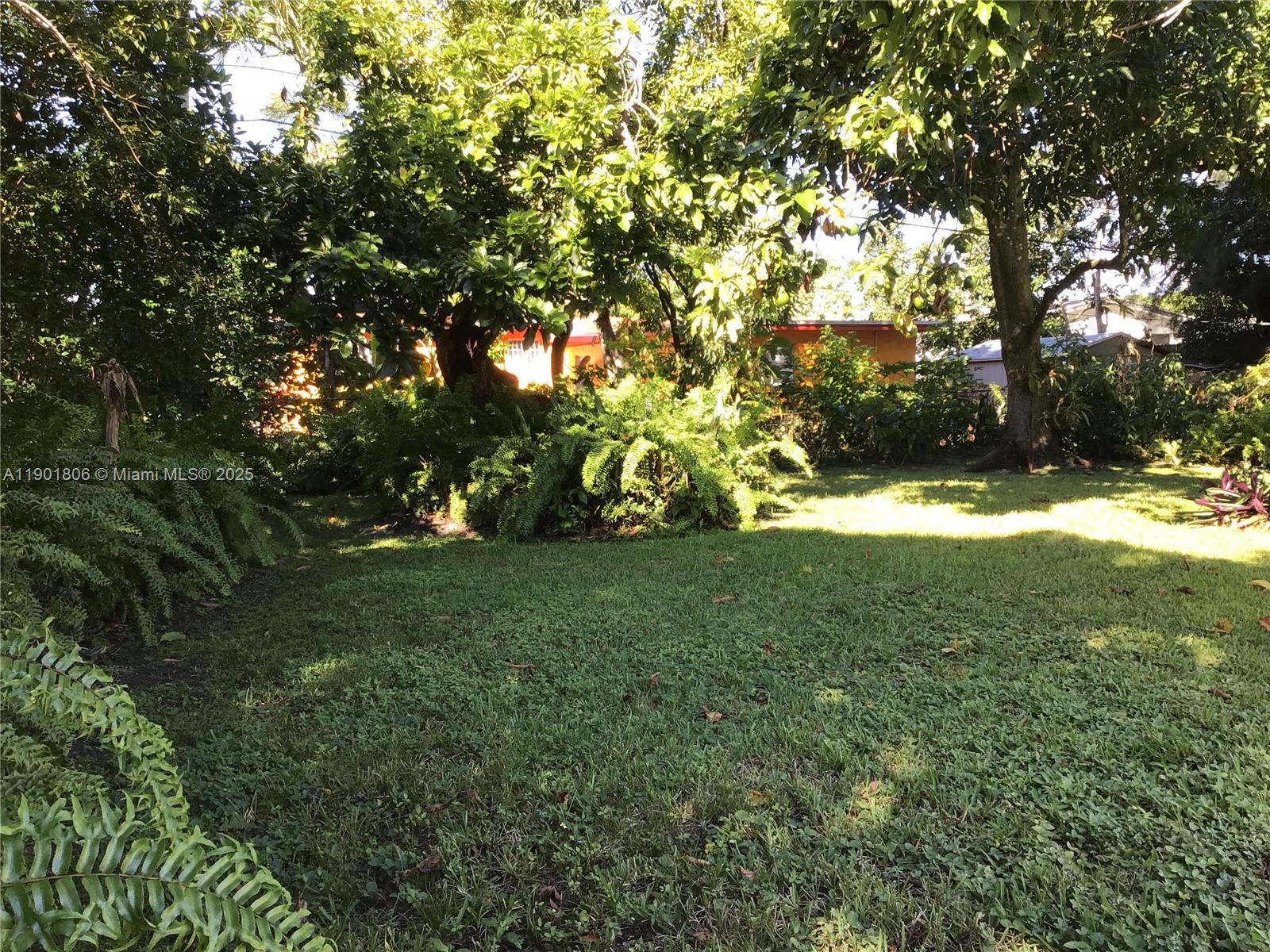 CASHEW HEIGHTS - Residential