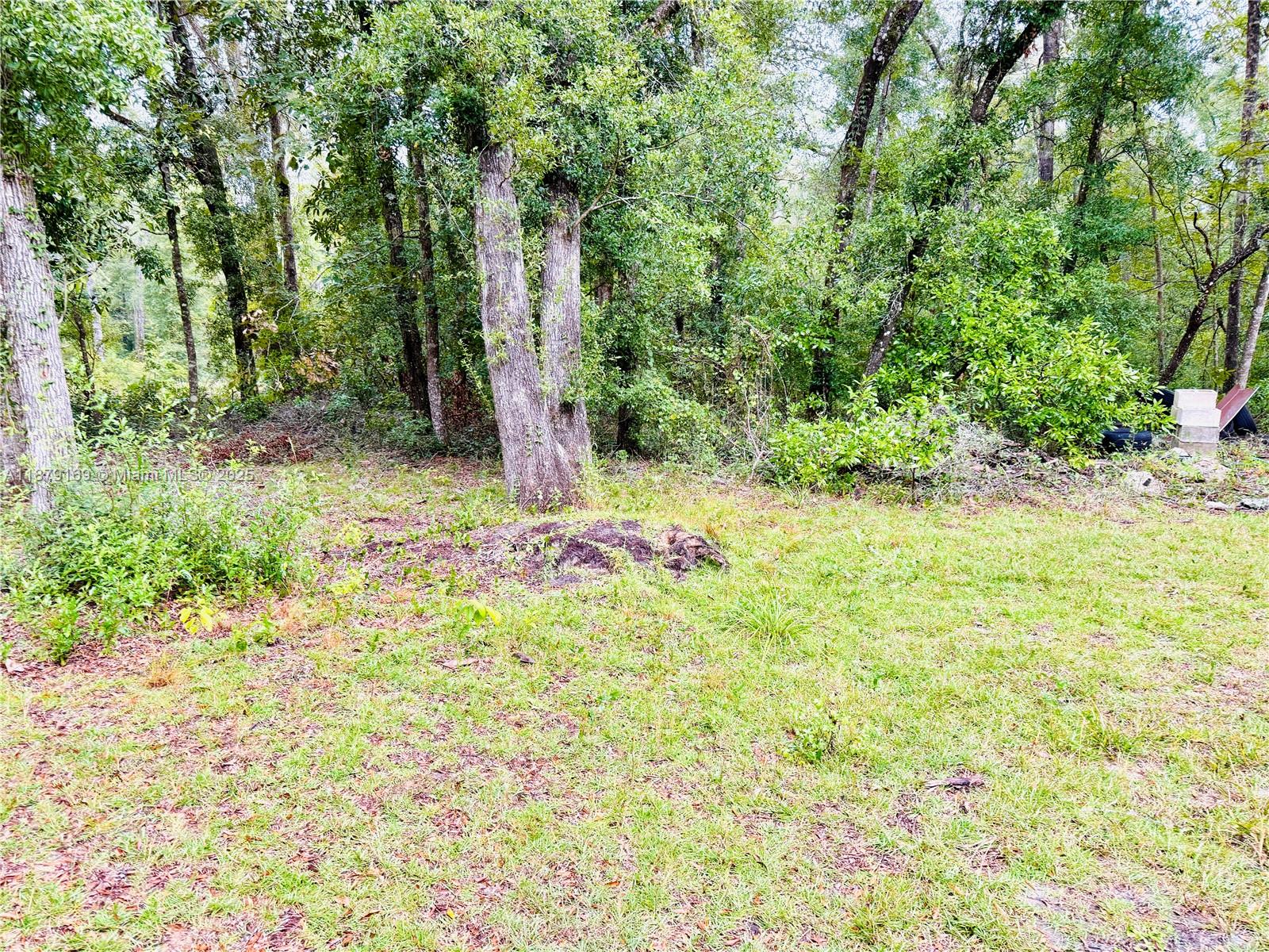 SUWANNEE RIVER RANCHETTES - Residential