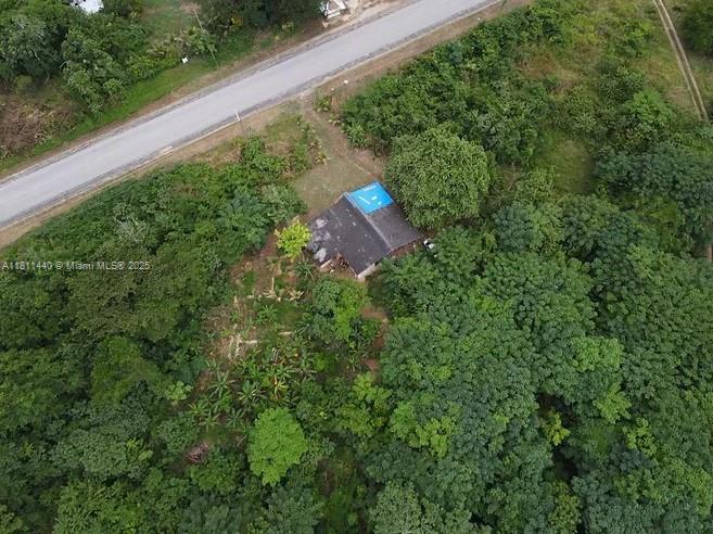 00 COUSINS COVE, HANOVER JAMAICA