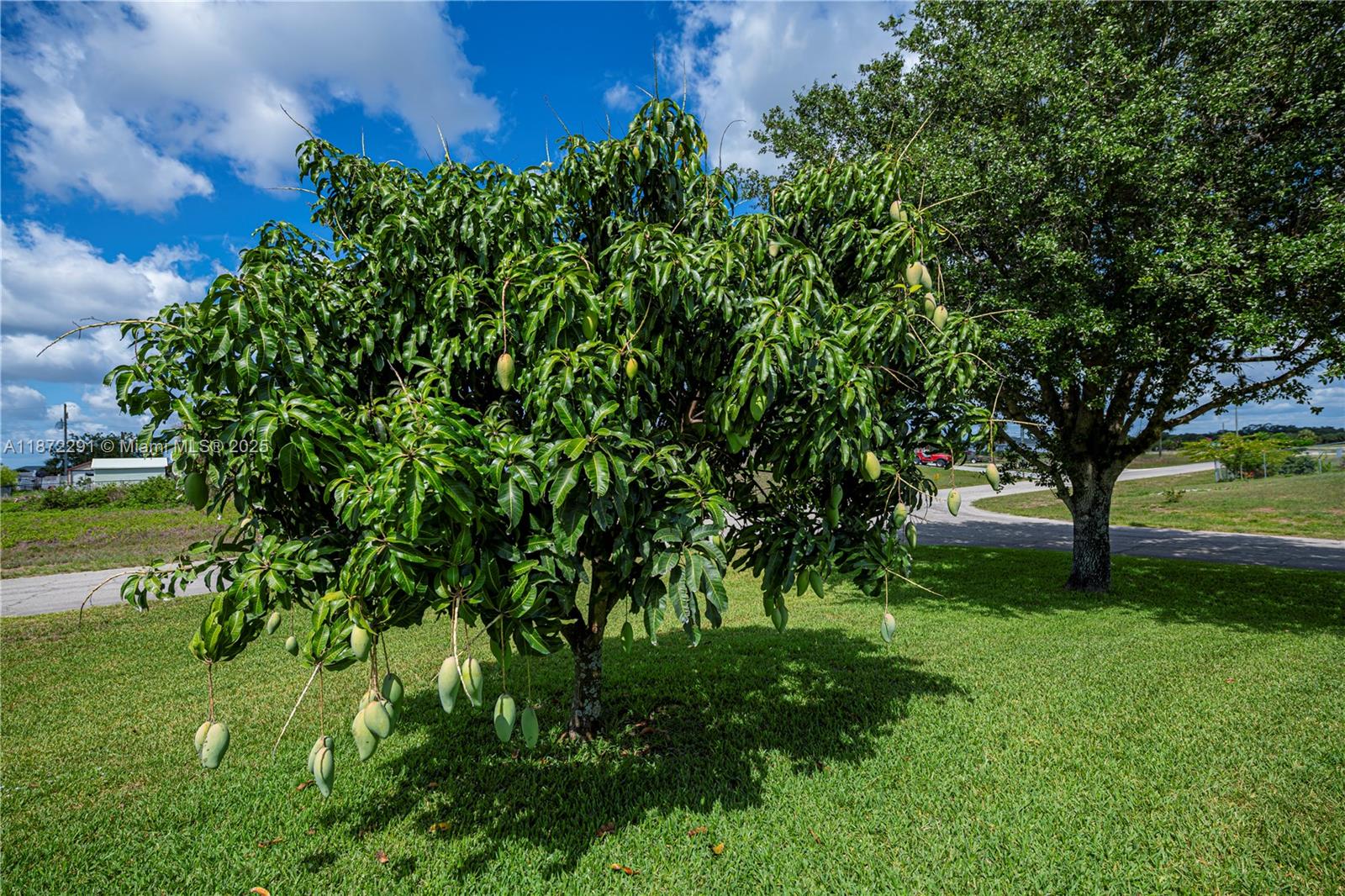 Port LaBelle - Residential