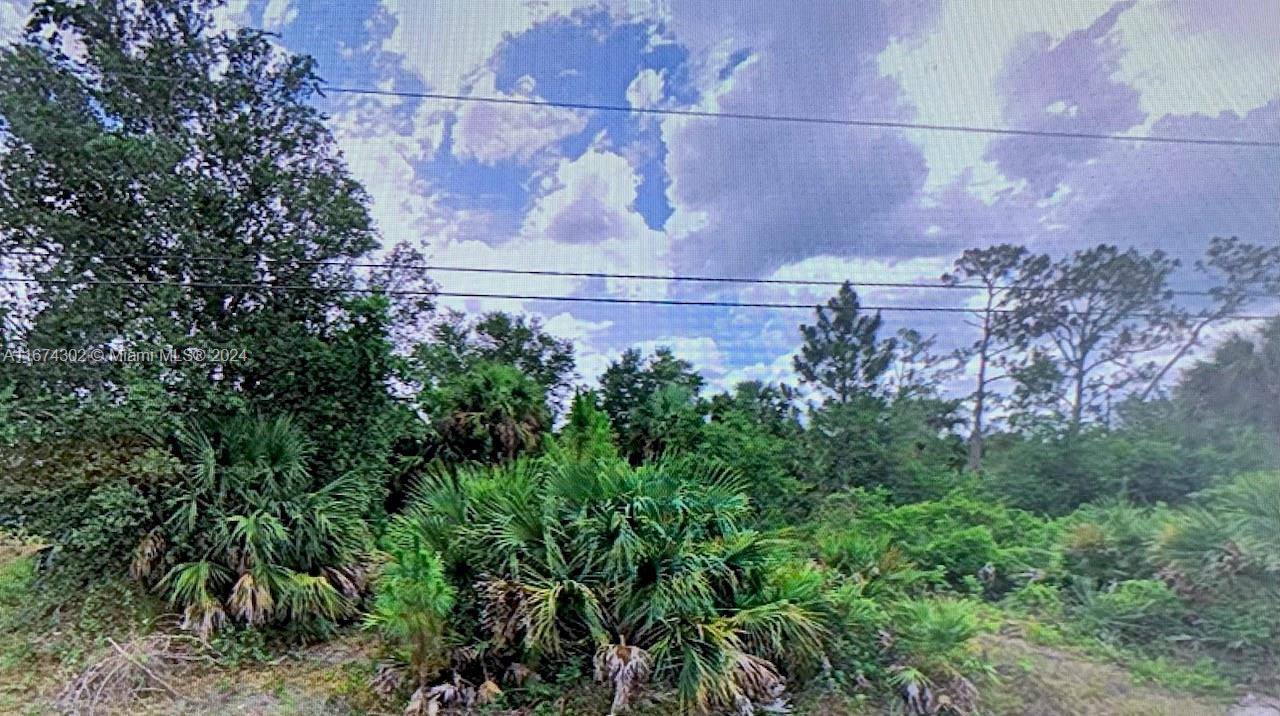 LEE COUNTY VACANT LAND SPRRUNDED BY HOMES GREAT INVESTMENT HALF ACRE.