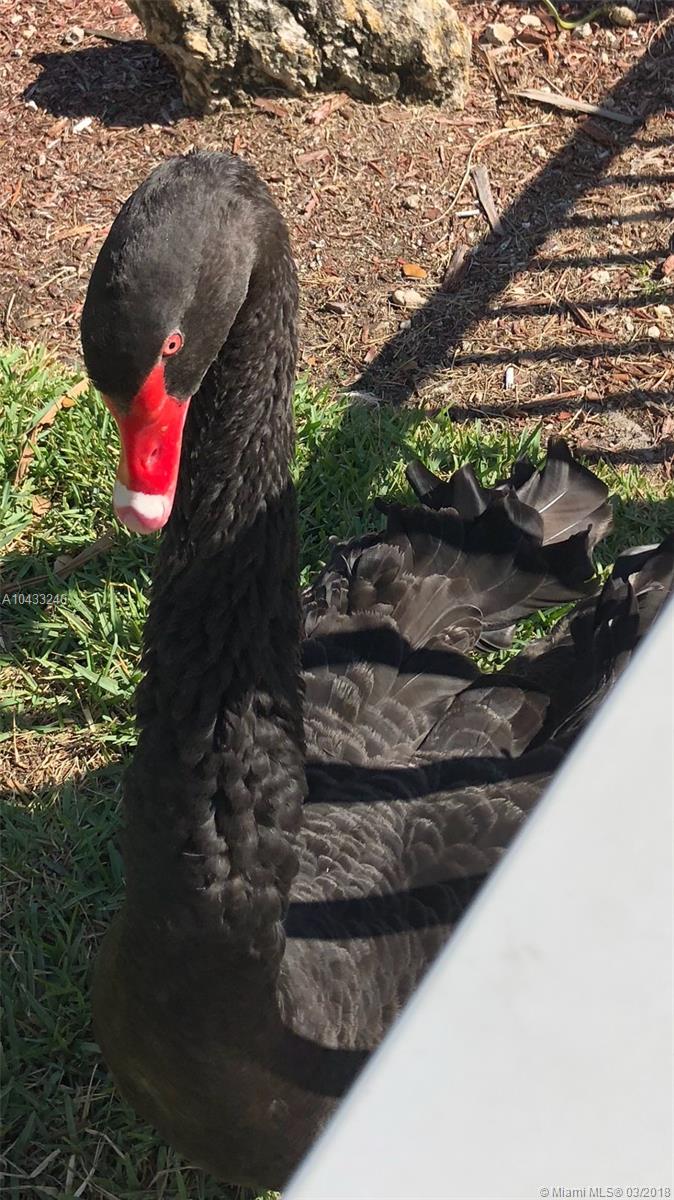 MYSTIC POINTE TOWER 500 C - Residential Lease