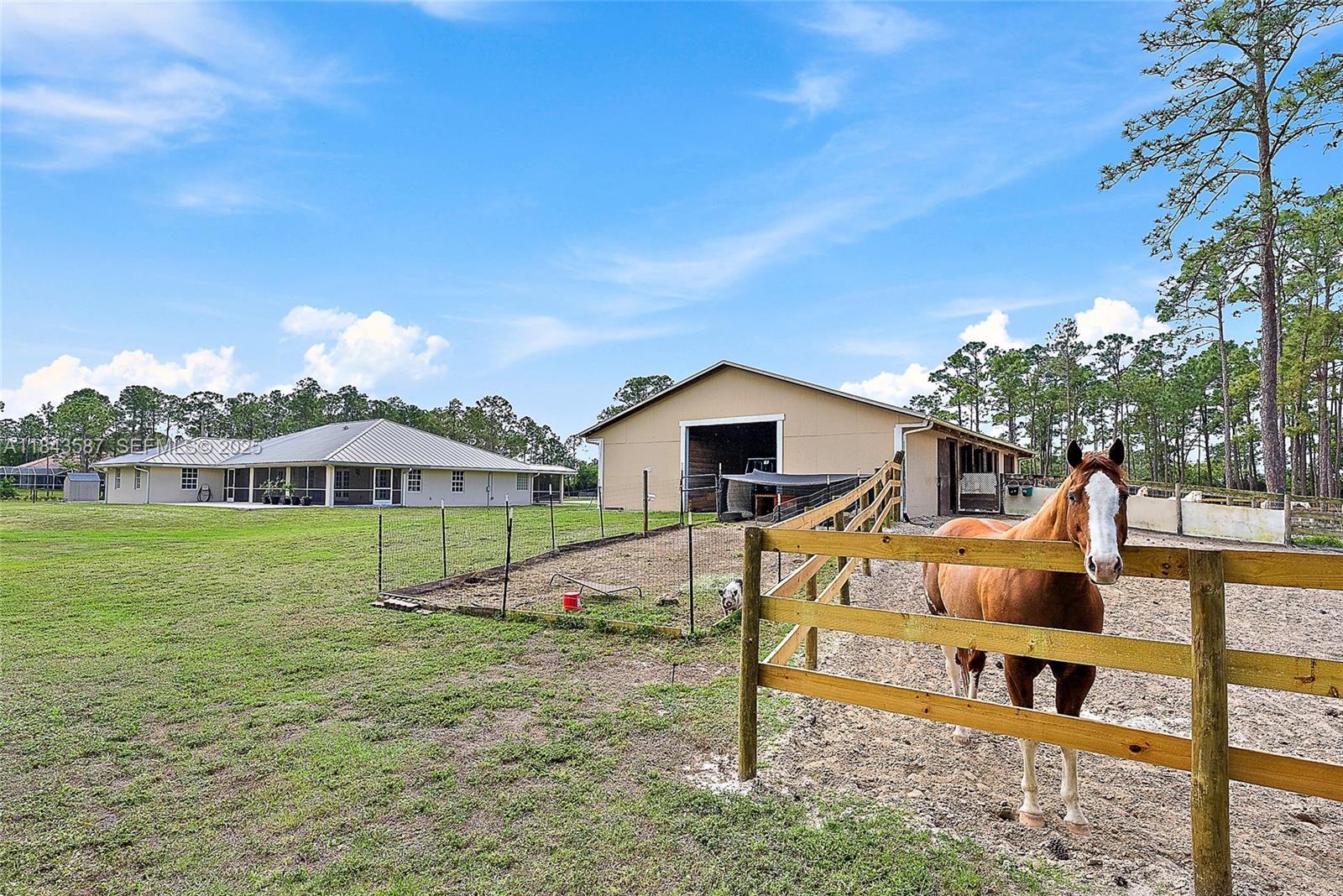 Caloosa - Residential