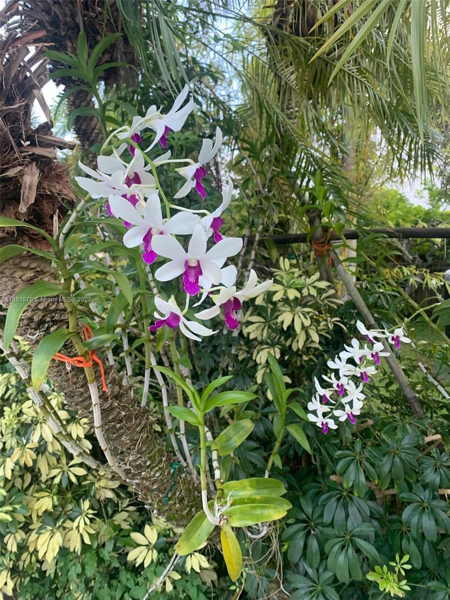 KEEN ESTATES - Residential