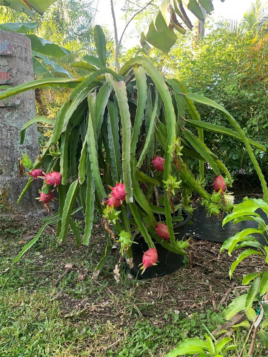 KEEN ESTATES - Residential