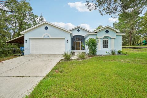 A home in Spring Hill