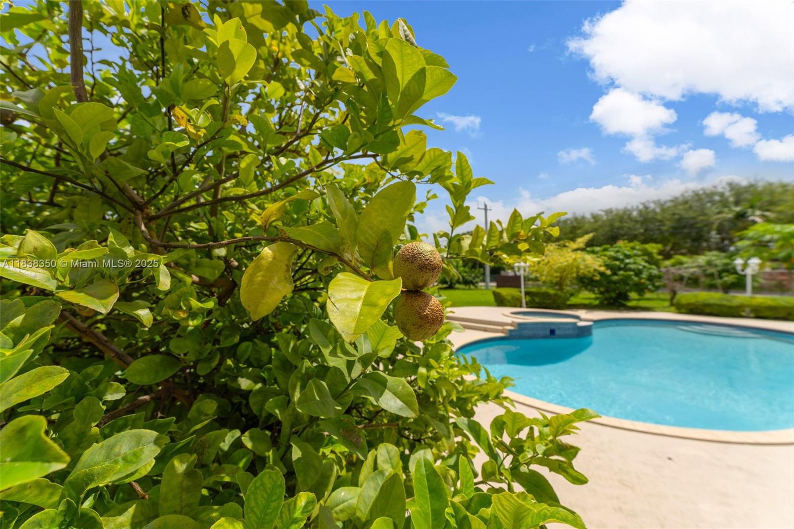 MILLER DRIVE ESTATES - Residential