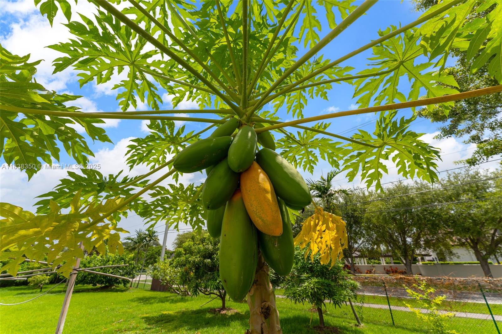 MILLER DRIVE ESTATES - Residential