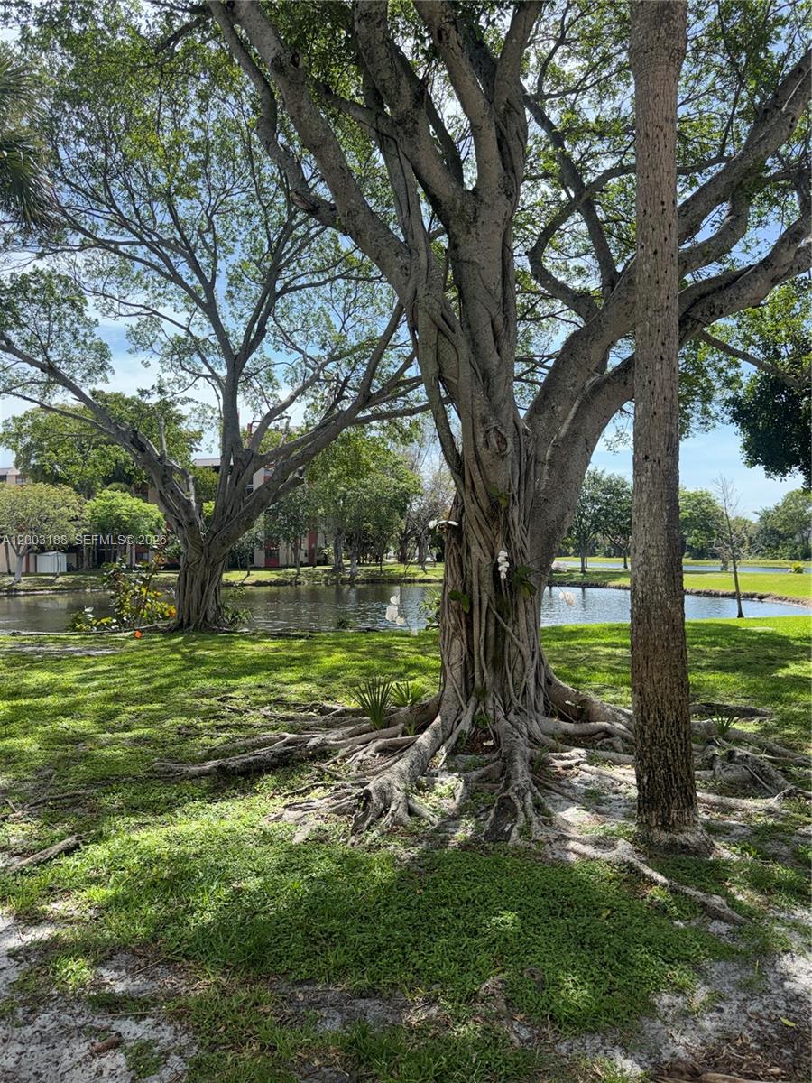 2312 S Cypress Bend Dr 107