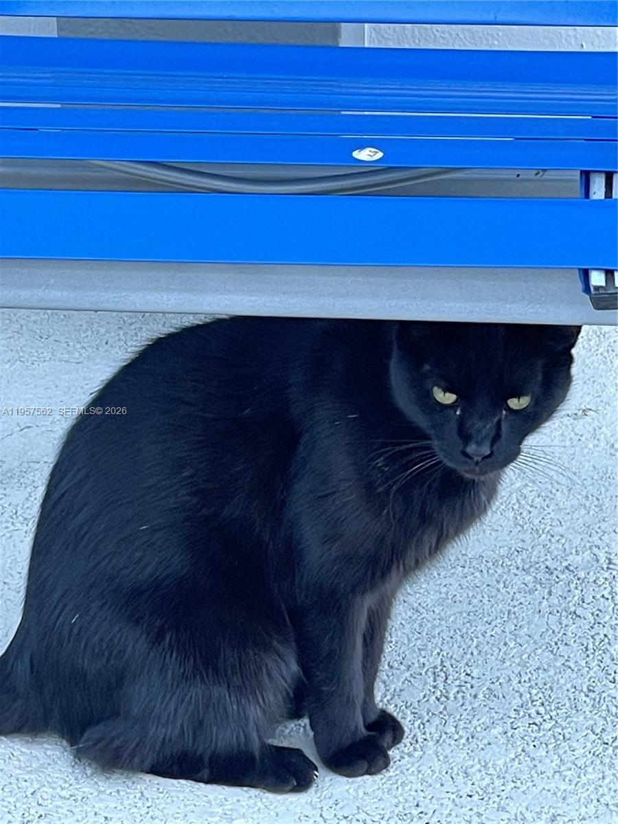 DORAL GARDENS II CONDO - Residential