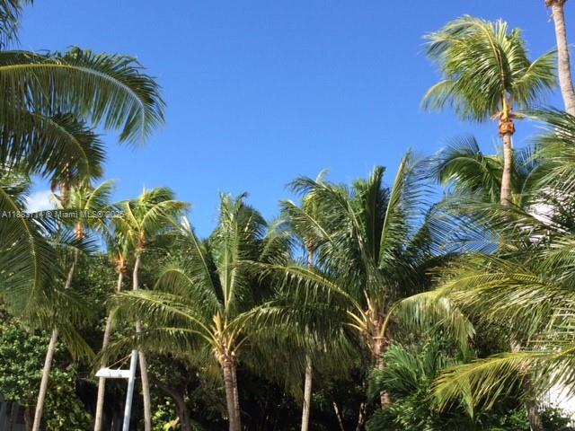 NIRVANA CONDO NO ONE COND - Residential