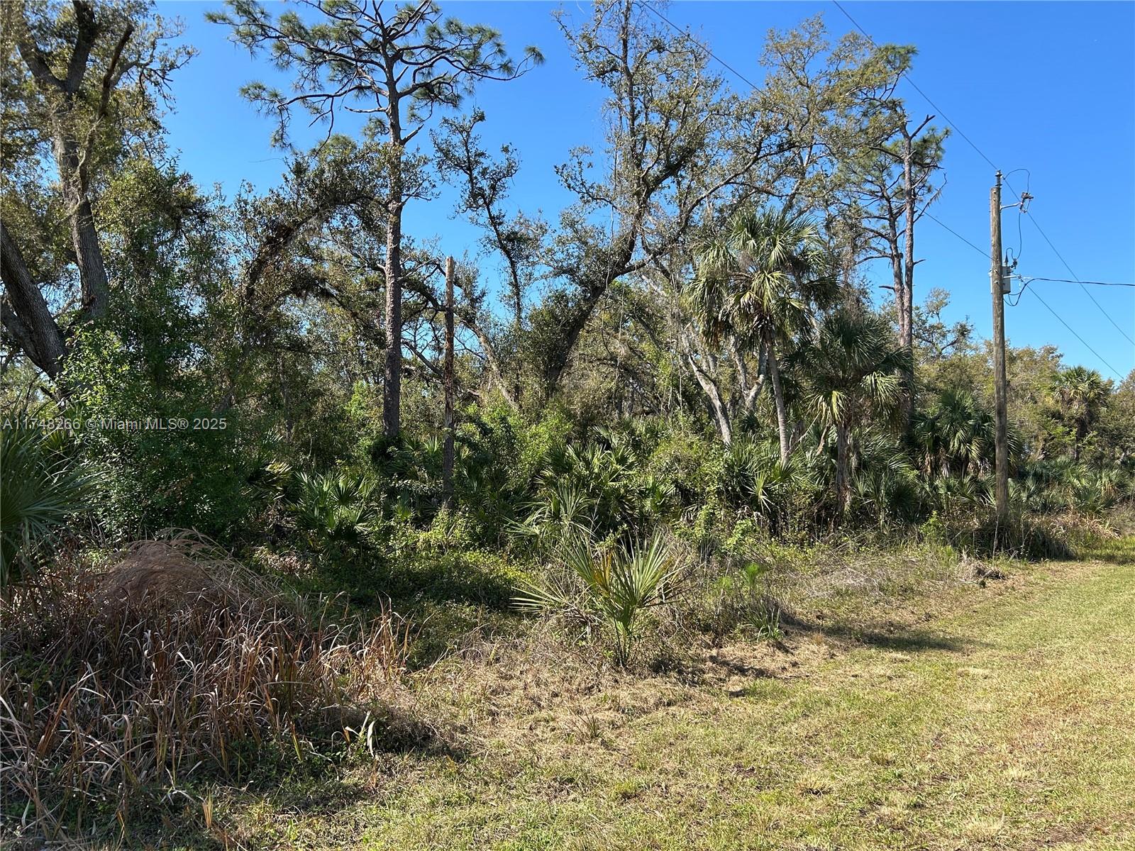 Invest in Your Future: Build Your Dream Home in Booming Port Charlotte!
Secure your piece of paradise in one of Florida's most desirable coastal communities. This exceptional lot in Port Charlotte offers incredible potential for building your custom home. Enjoy the convenience of nearby beaches, golf, shopping, and the natural beauty of the Myakka River.
Live the Port Charlotte Lifestyle! Contact us today to learn more.