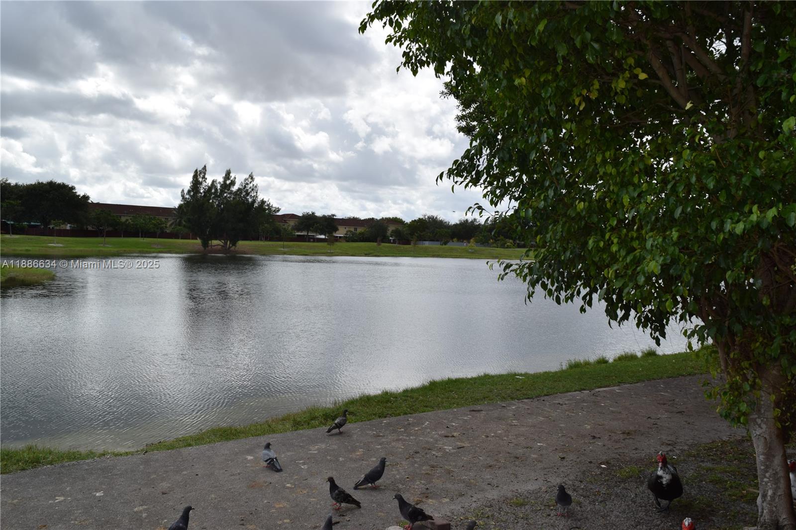 BONITA GOLF VIEW TOWNVILL - Residential