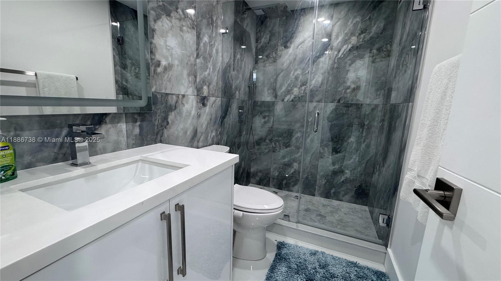 ALEXANDER TOWERS CONDO - Residential Lease