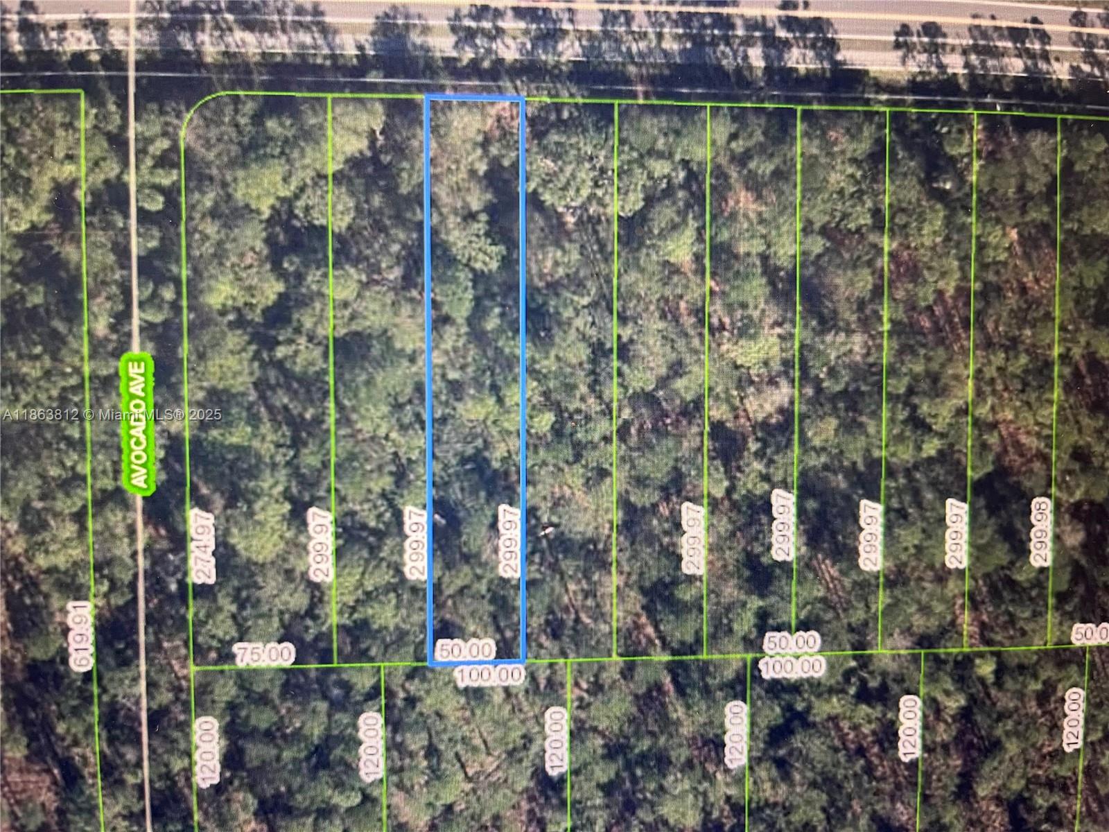 Prime Vacant Lot in Sebring, Florida. Unlock the potential of this prime vacant lot in the charming town of Sebring, Florida! Nestled in the heart of the Sunshine State, this property offers an incredible opportunity for development, perfect for constructing beautiful new homes. Sebring is renowned for its picturesque lakes & serene landscapes, making it a haven for outdoor enthusiasts. With its affordable cost of living and pleasant year-round climate, it's no wonder that Sebring is a favored destination for retirees, families, & anyone looking to enjoy a peaceful lifestyle this lot provides convenient access to urban amenities while maintaining the tranquility of small-town living. Buy this lot individually or in combination w/ the three adjacent lots (2681, 2667, 2637 Hammock Rd)