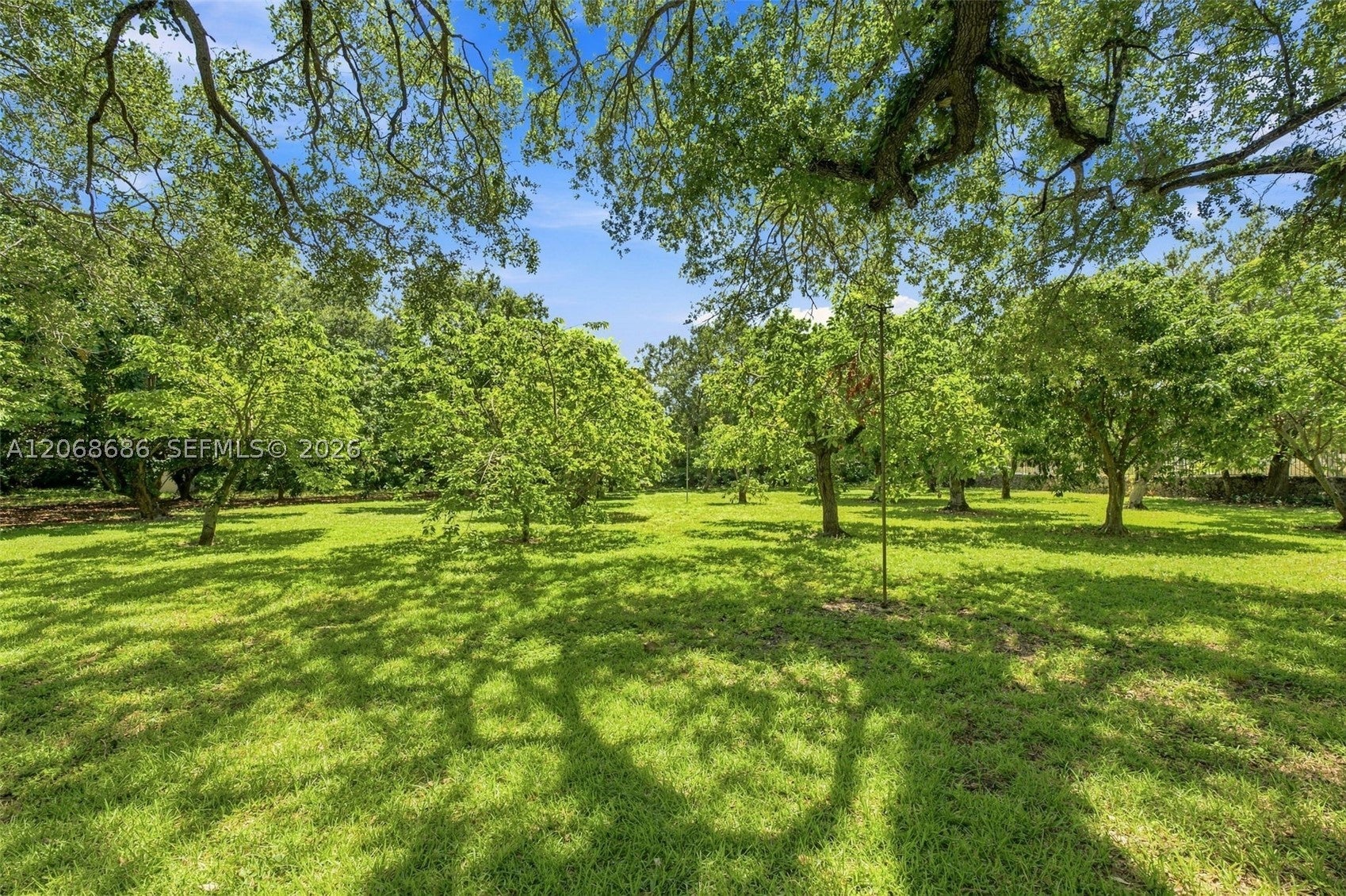 A Rare Trophy Asset: 5-Acre Development Opportunity Near Coral GablesW – image 8