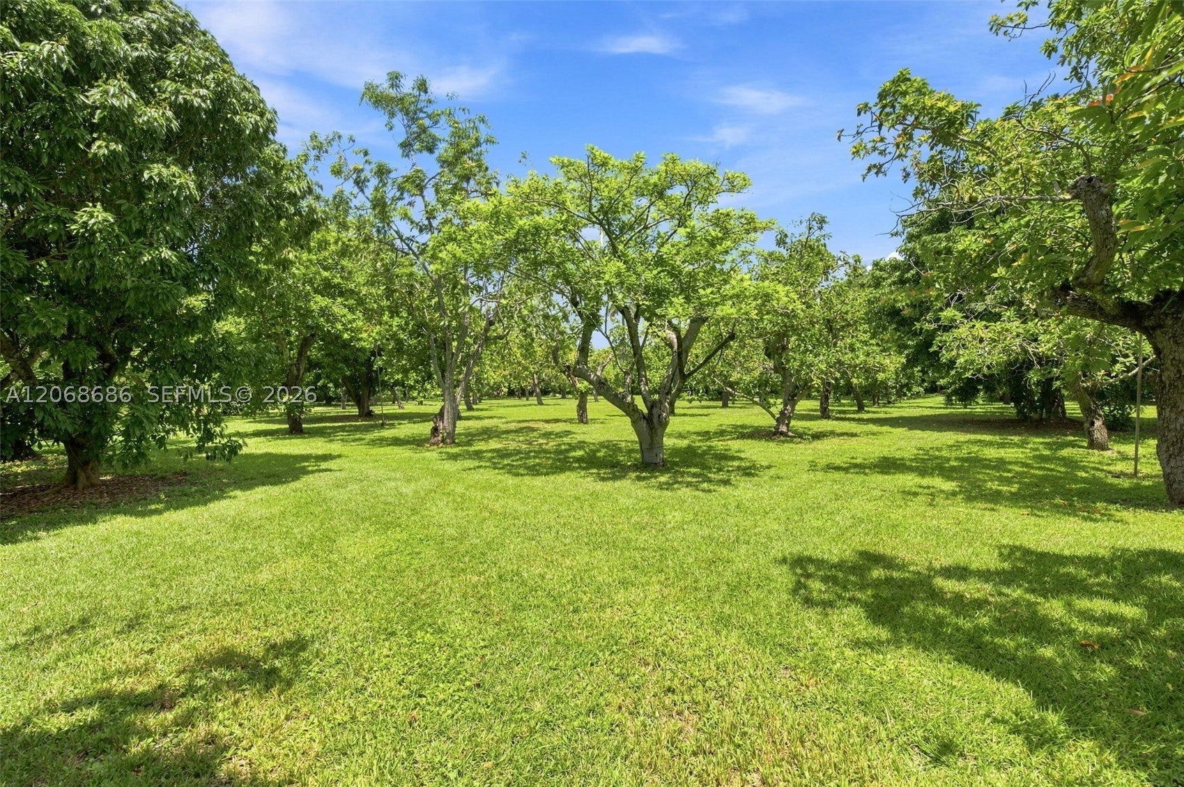A Rare Trophy Asset: 5-Acre Development Opportunity Near Coral GablesW – image 12