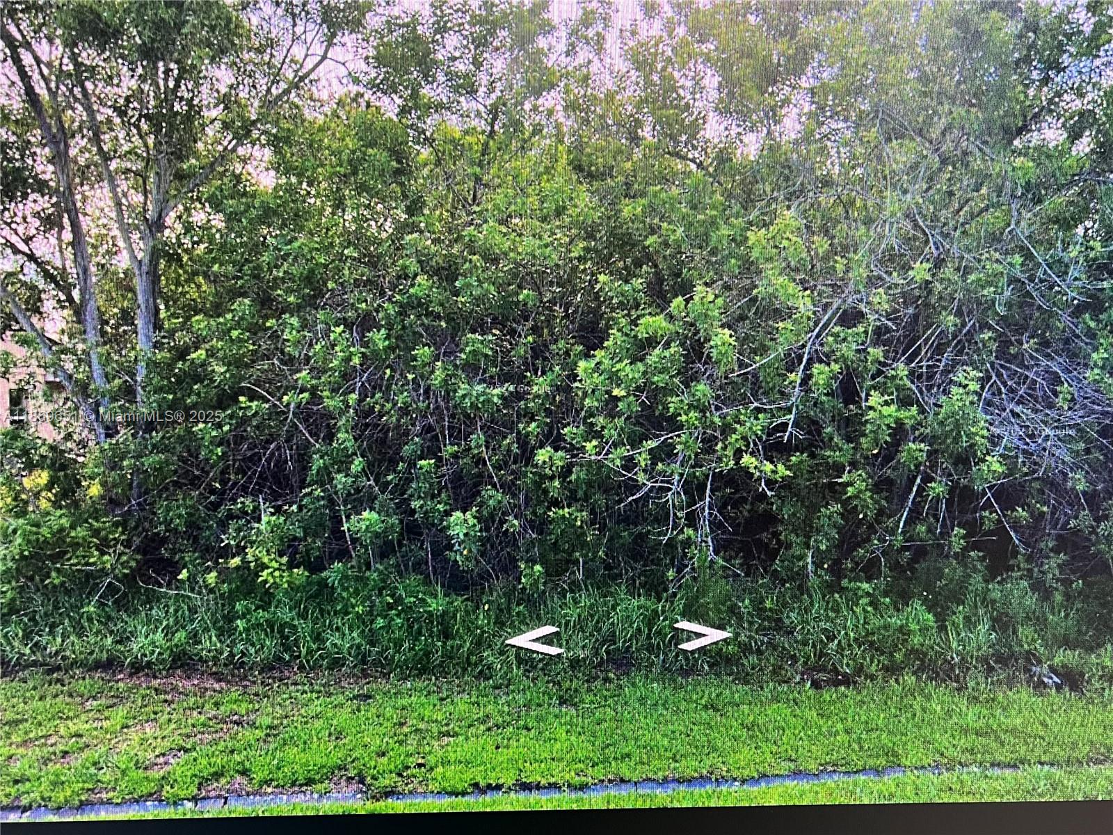 Exceptional 10,000 sq ft lot. Located in St. Lucie County, with nearby schools including Windmill Point Elementary School, Oak Hammock K-8 School, and Bayshore Elementary School. Build your dream home in one of Port St. Lucie's most desirable non-HOA locations! Just minutes to I-95 & Florida Turnpike- easy commute north or south. Close to shopping, dining, beaches, and golf courses.