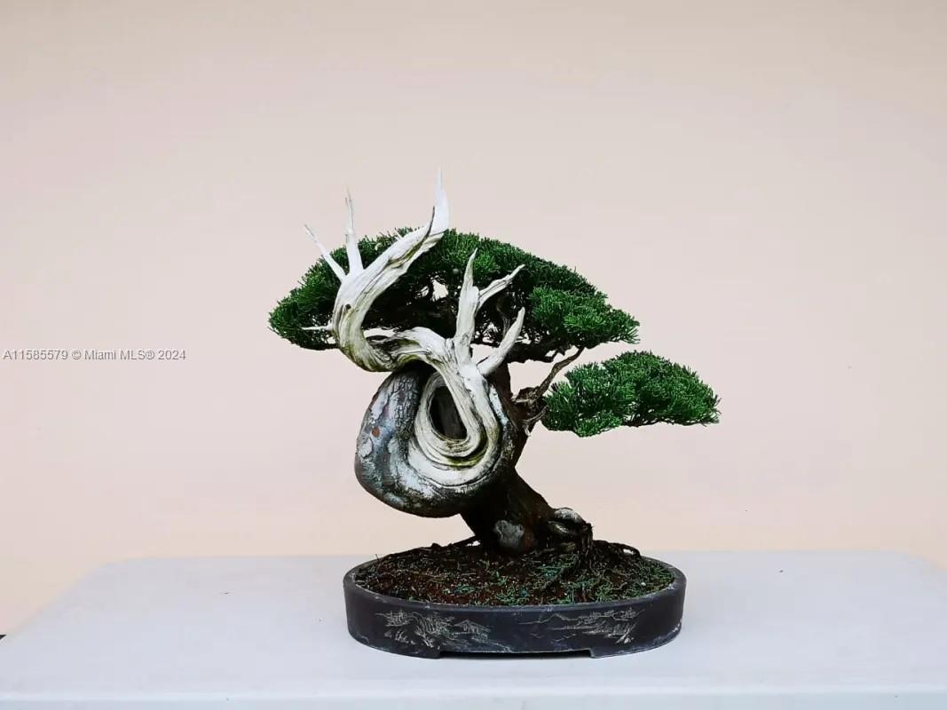 Zarcero Alajuela C R - Residential