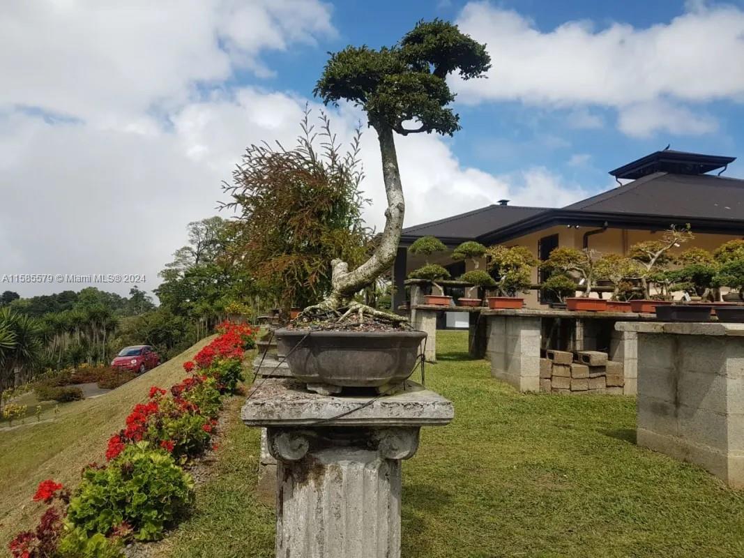 Zarcero Alajuela C R - Residential