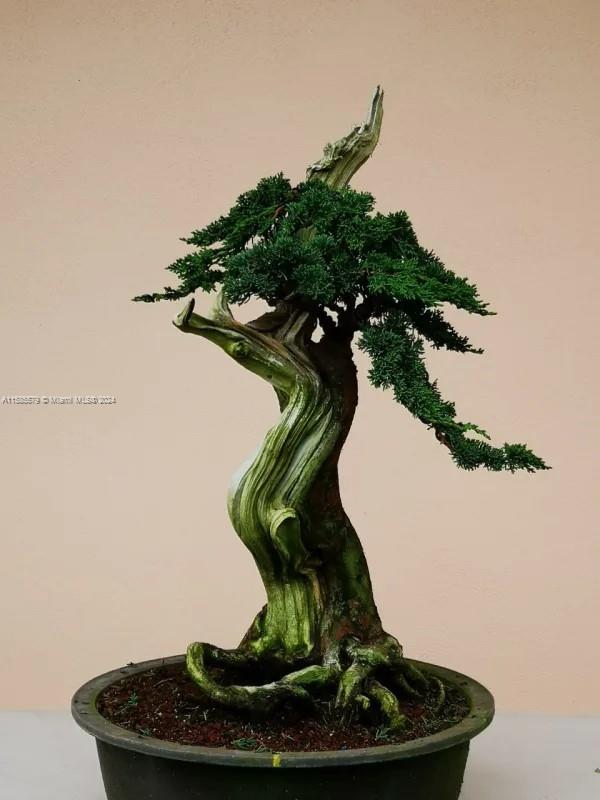 Zarcero Alajuela C R - Residential