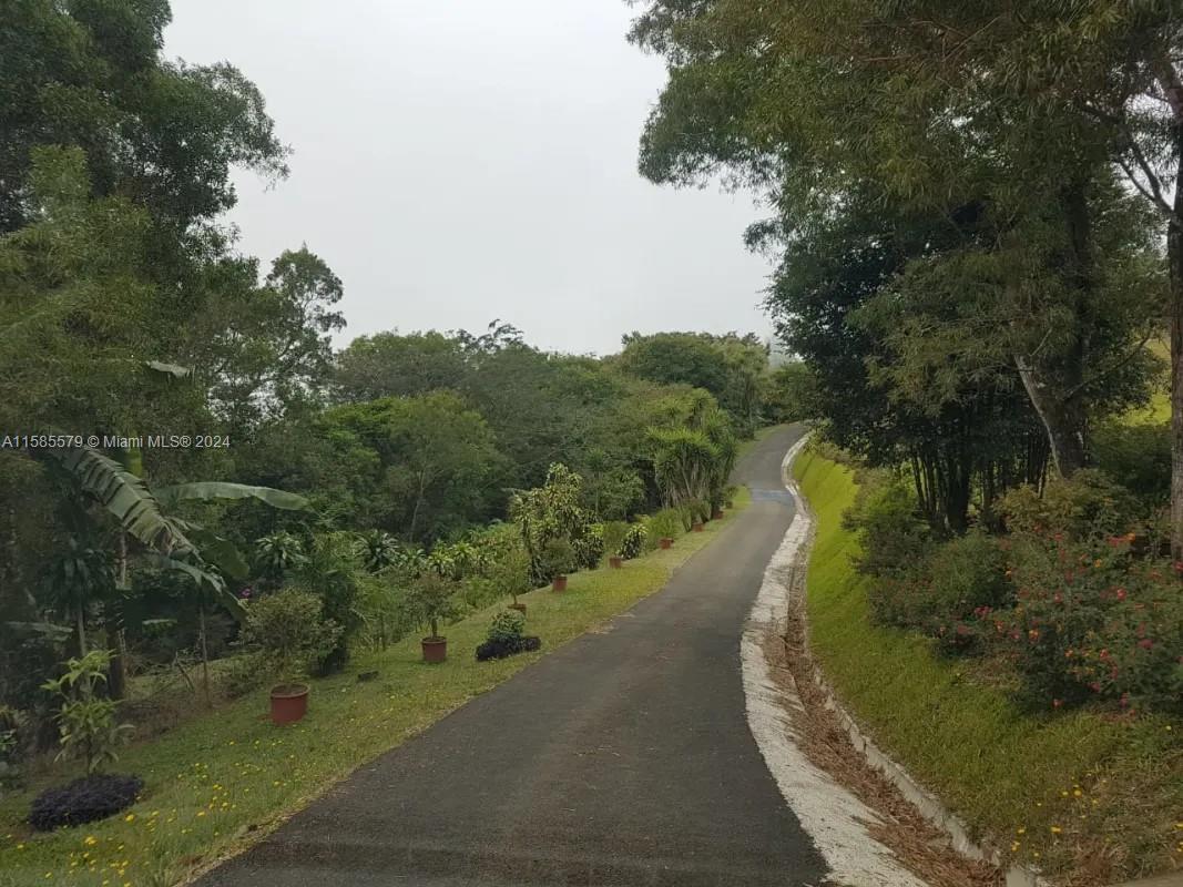 Zarcero Alajuela C R - Residential