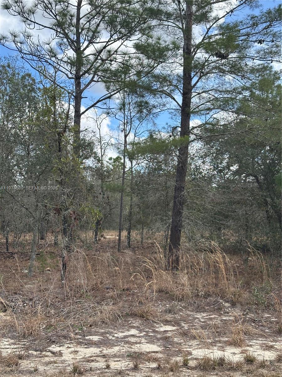 RAINBOW LAKES ESTATES - Land