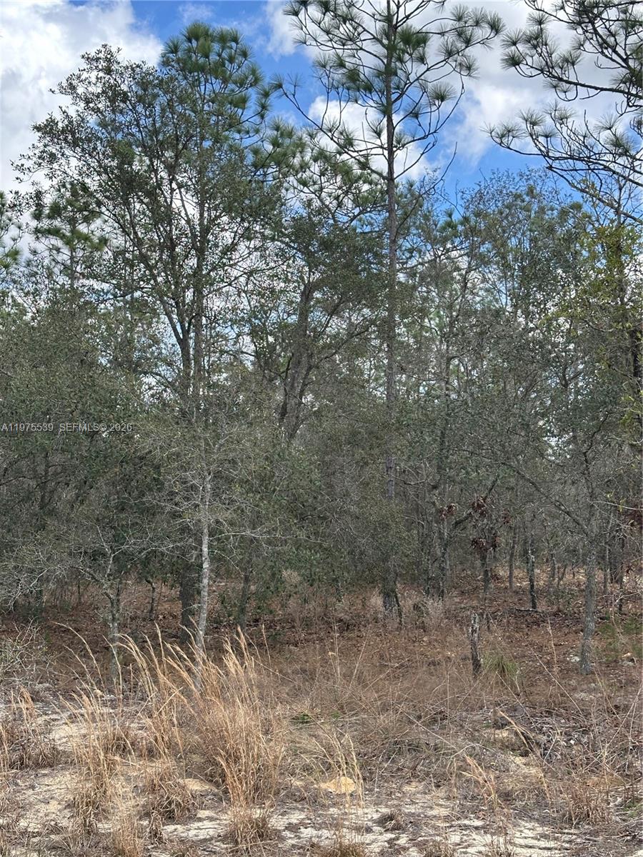 RAINBOW LAKES ESTATES - Land