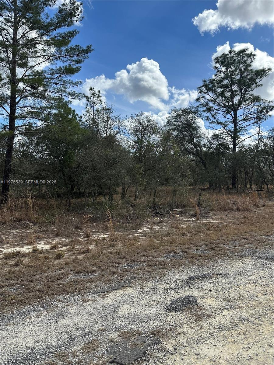 RAINBOW LAKES ESTATES - Land