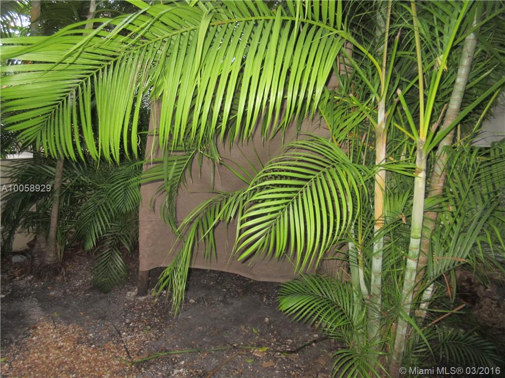 11 ANTILLA CONDO - Residential Lease