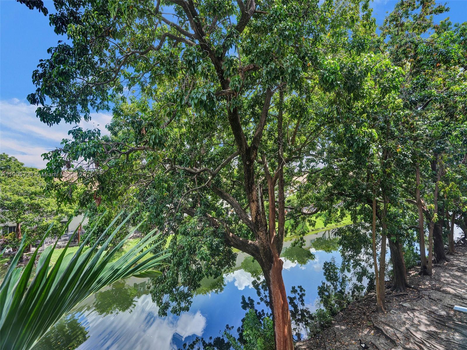 THE BEACH CLUB FONTAINEBL - Residential Lease