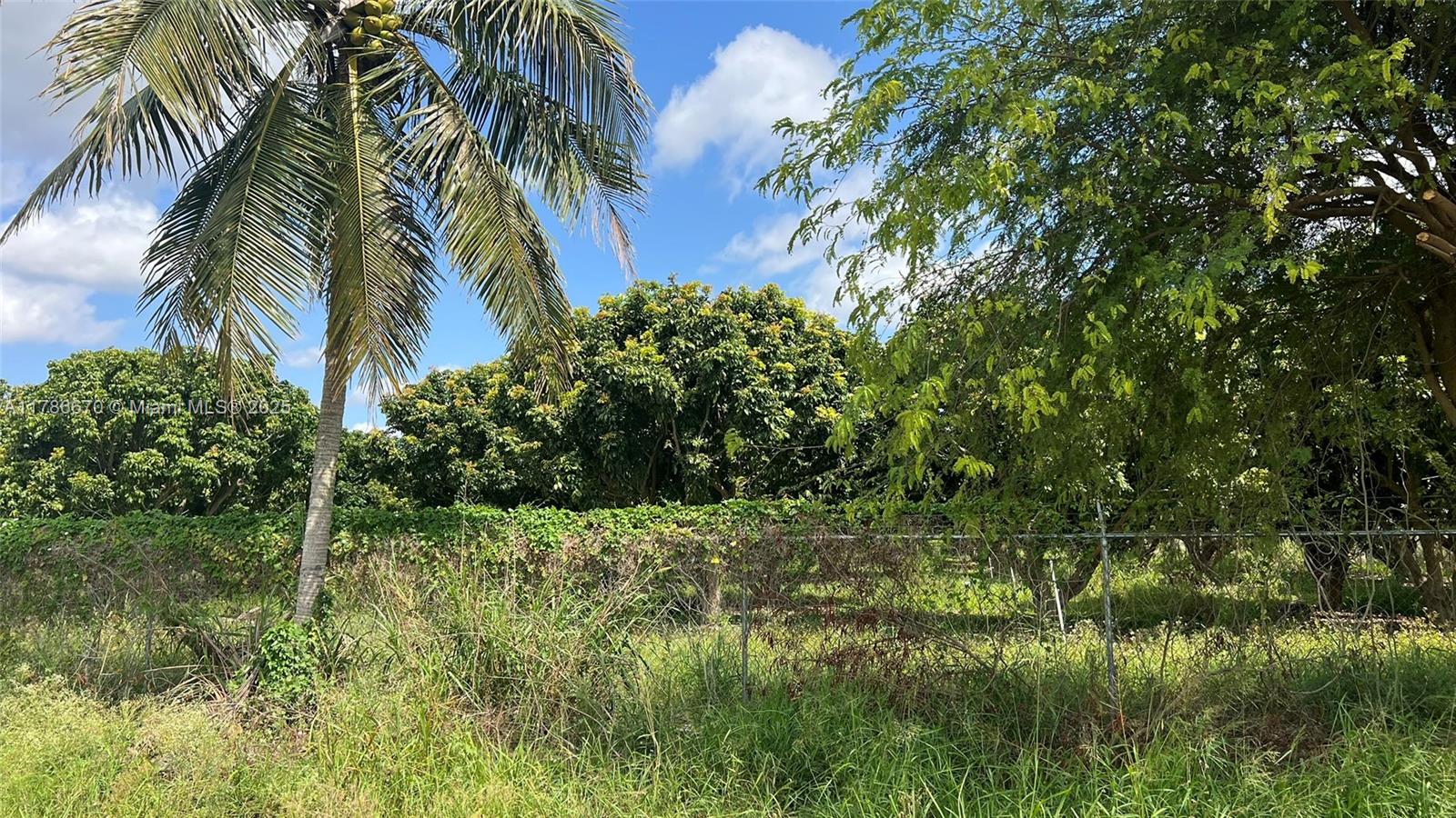 RARE 5.84 - ACRE CORNER LOT WITH 300 FRUIT TREES - HOMESTEAD, FL. This is a unique opportunity to own 5.84 acres of prime land on a desirable corner lot in Homestead, Florida. With excellent road access and a peaceful setting, this expansive property offers endless possibilities—whether you’re dreaming of a private estate, a serene retreat, or an agricultural venture. The land is beautifully accented with approximately 300 mature fruit trees, providing both beauty and bounty. Enjoy the open space, fresh air, and the freedom to create your vision surrounded by natural abundance. If you’re looking for space, privacy, and potential in South Florida, this property is a must-see.