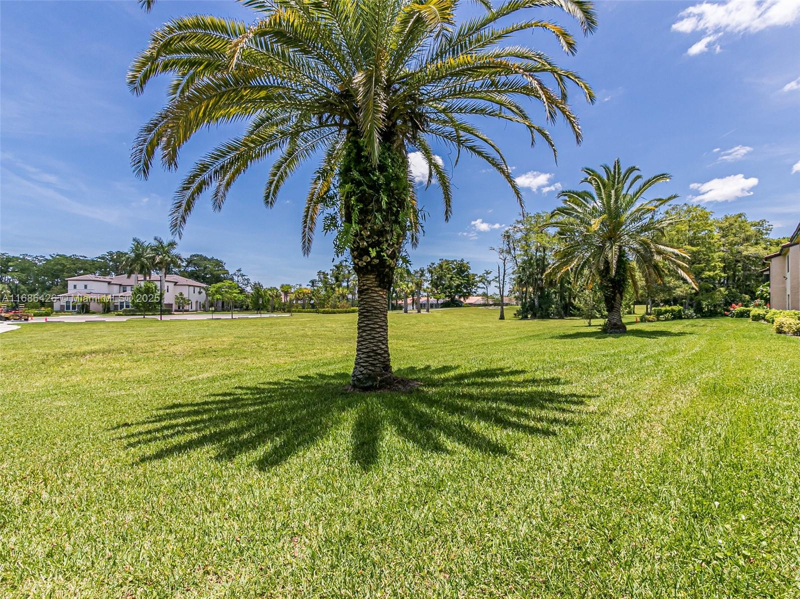 PINES OF BOCA LAGO CONDO - Residential Lease