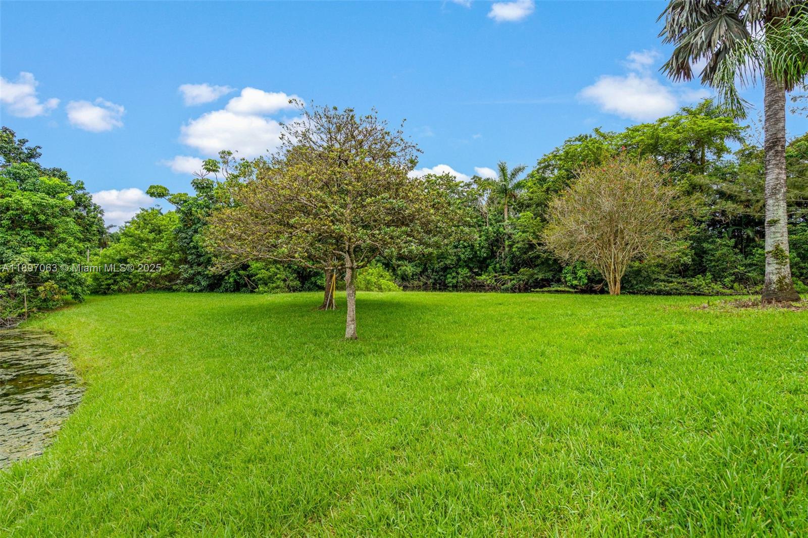 MARTHA BRIGHT FARMS - Residential