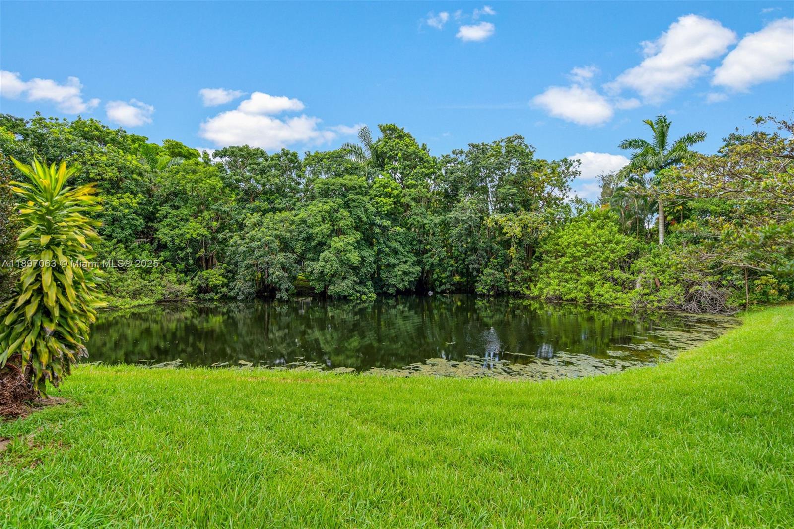 MARTHA BRIGHT FARMS - Residential