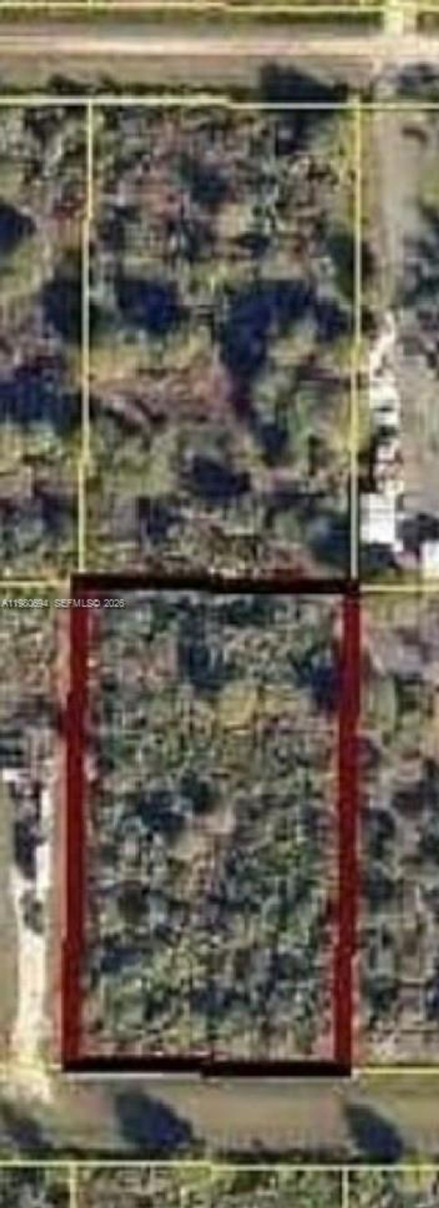 1.25-acre vacant lot in Okeechobee, perfect for building your dream home. This spacious property offers plenty of room for a house, garden, or outdoor space while enjoying the peaceful surroundings of rural Florida. A great opportunity for those looking for privacy, nature, and the freedom to build.