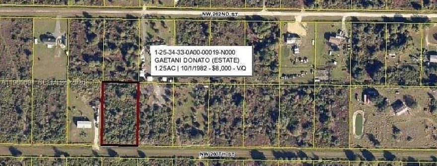 1.25-acre vacant lot in Okeechobee, perfect for building your dream home. This spacious property offers plenty of room for a house, garden, or outdoor space while enjoying the peaceful surroundings of rural Florida. A great opportunity for those looking for privacy, nature, and the freedom to build.