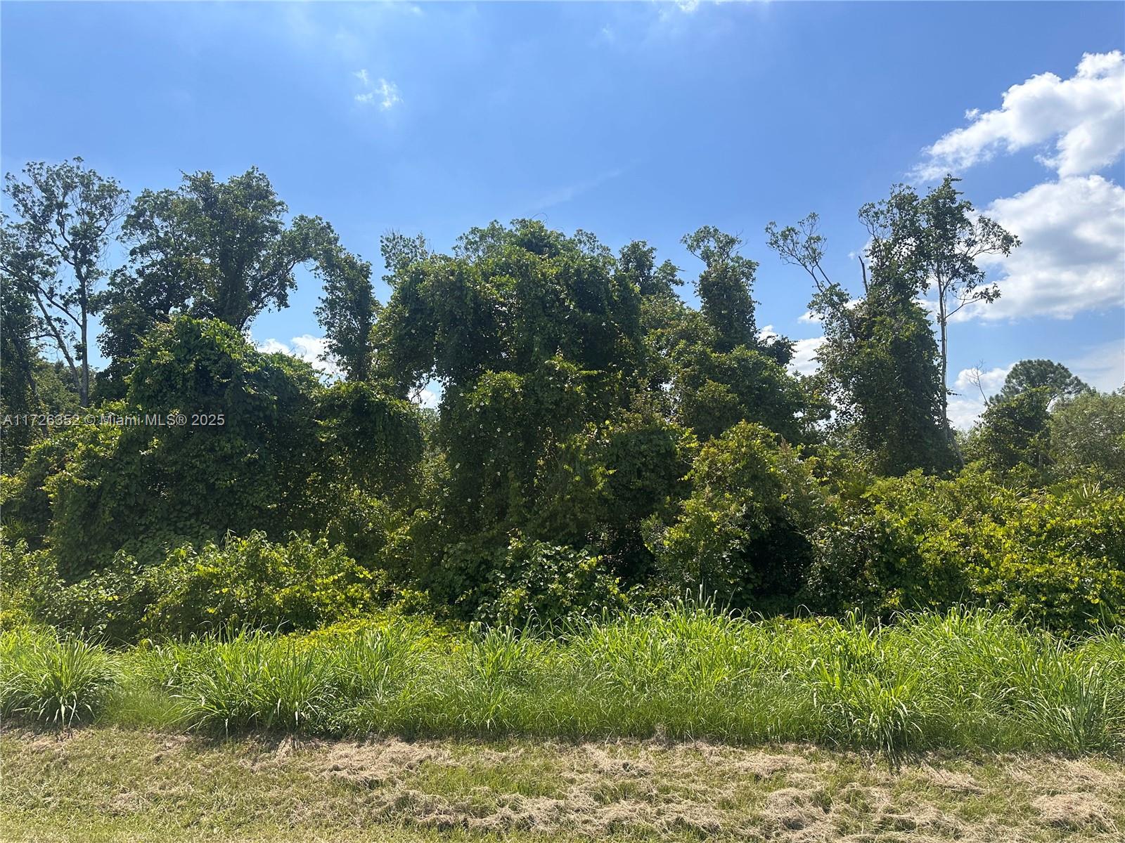 OWNER WILL FINANCE!!! HUGE DOUBLE LOT MEASURING 164ft by 125ft. Residential lot in the sought-after Sun N' Lakes community, featuring CITY WATER, CITY SEWER, PAVED ROADS, and ELECTRICAL SERVICE. Enjoy living in one of Sebring's most popular golf communities with amenities including two 18-hole golf course, pools, fitness center, tennis and pickleball courts, dog park, and more—just a short golf cart ride away. Conveniently located near hospitals, dining, and shopping. A great opportunity that won’t last long! OWNER WILL FINANCE!!! 10K DOWN $790.07 A MONTH FOR 60 MONTHS @ 7% INTEREST.