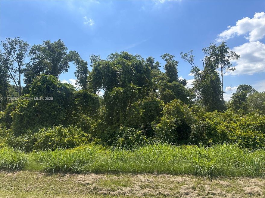OWNER WILL FINANCE!!! HUGE DOUBLE LOT MEASURING 164ft by 125ft. Residential lot in the sought-after Sun N' Lakes community, featuring CITY WATER, CITY SEWER, PAVED ROADS, and ELECTRICAL SERVICE. Enjoy living in one of Sebring's most popular golf communities with amenities including two 18-hole golf course, pools, fitness center, tennis and pickleball courts, dog park, and more—just a short golf cart ride away. Conveniently located near hospitals, dining, and shopping. A great opportunity that won’t last long! OWNER WILL FINANCE!!! 10K DOWN $790.07 A MONTH FOR 60 MONTHS @ 7% INTEREST.
