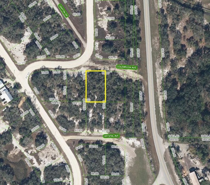 Discover this residential single-family lot in the charming Sun N Lakes community of Lake Placid. Spanning approximately a quarter-acre, this property is situated on a graded road with convenient access from a paved street. With new construction ongoing in the area, now is the perfect opportunity to secure an affordable, buildable lot—whether you’re planning to build a spec home immediately or in the future. Don’t miss out on this desirable location for your dream home or investment!