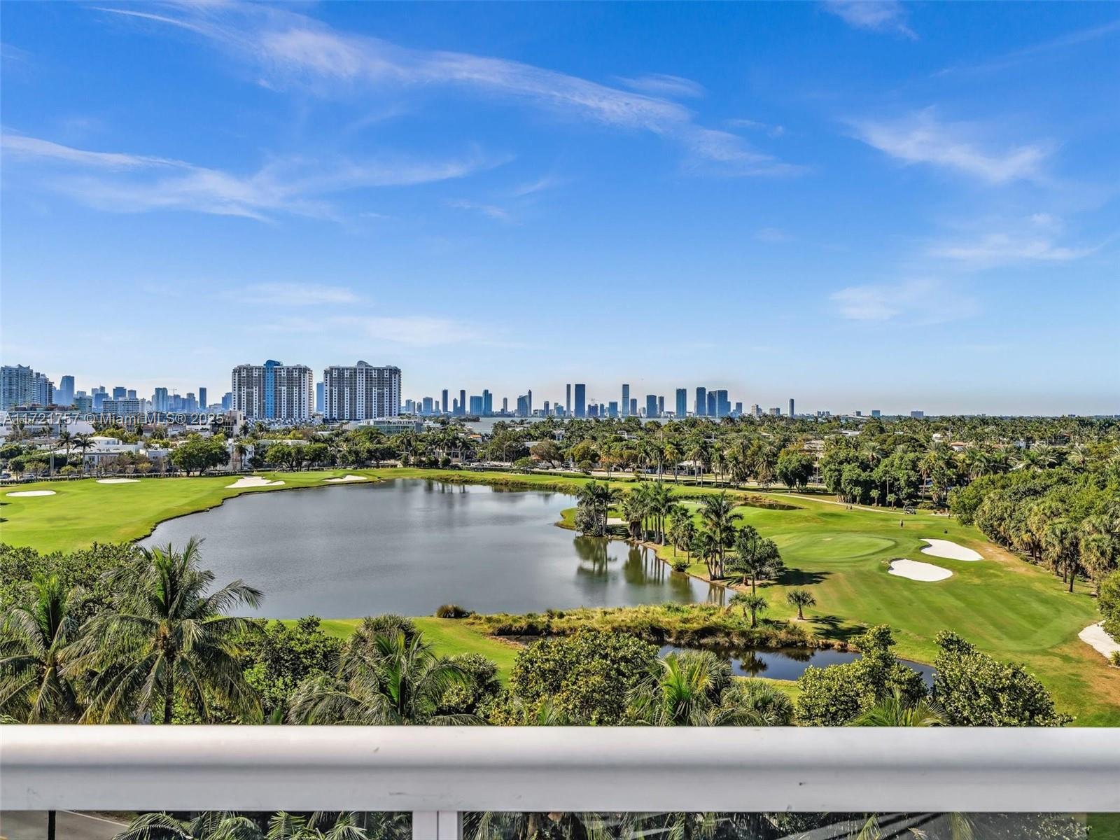 THE MERIDIAN CONDO - Residential