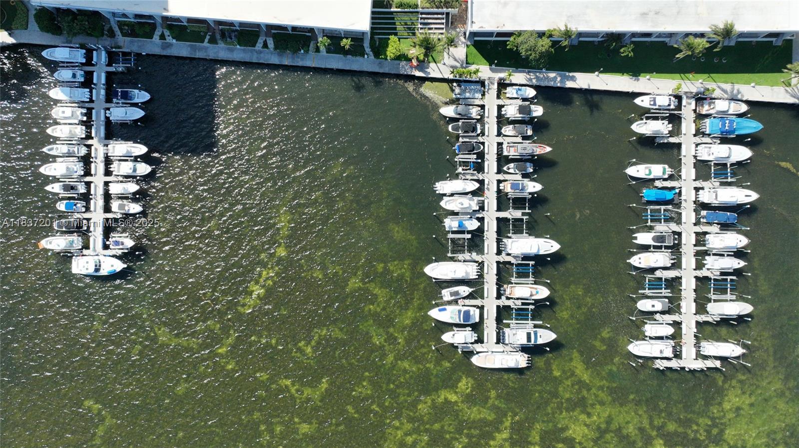 BRICKELL PLACE CONDO - Residential