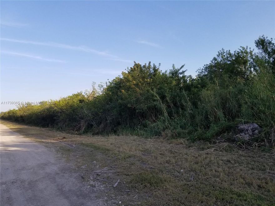 Great opportunity to invest in the future. Almost 10 ACRE LOT of land. Agriculture use. Amazing Location. Ideal farm land to grow a variety of crops. About 2 Miles from ocean. Near Turnpike. Heavy development minutes away.  Located between Miami and the Keys. Neighbors are actively improving surrounding farms. You can have horses in the lot. Near Homestead Speed Way complex. Owner Financing Available.