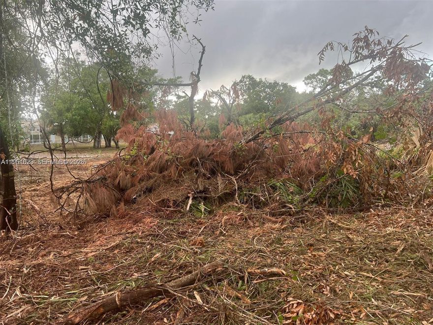 Build your dream home or invest in Florida's booming real estate market with this prime lot. Nestled in a fast-growing community just minutes from Fort Myers, this property offers the perfect blend of suburban tranquility and city convenience. lot features easy access to major roads, and utilities like electricity and water are nearby. Zoned for residential use, this spacious 1-acre lot can potentially be subdivided into three separate parcels, making it an excellent opportunity for developers or investors. Lehigh Acres is a hotspot for new development, with rising land values and strong buyer demand. Surrounded by parks, golf courses, and natural preserves, it’s ideal for families, retirees, or investors looking to capitalize on Southwest Florida’s growth