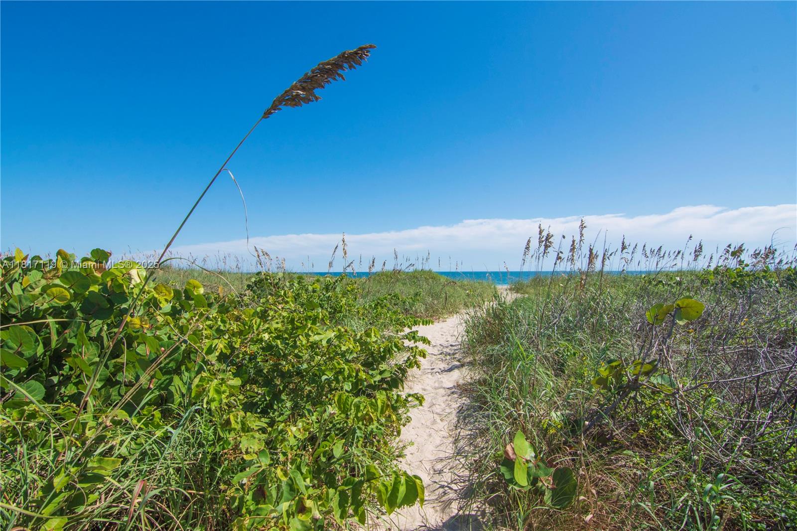 THE ATRIUM ON THE OCEAN I - Residential