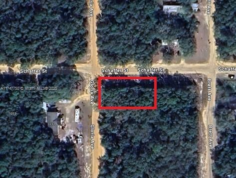 GREAT INVESTMENT OPPORTUNITY. BUILD YOUR DREAM HOUSE. 12 MORE LOTS AVAILABLE FOR SALE NEARBY. ALL INFORMATION FROM THE SELLER AND MUST BE VERIFIED BY THE BUYER!