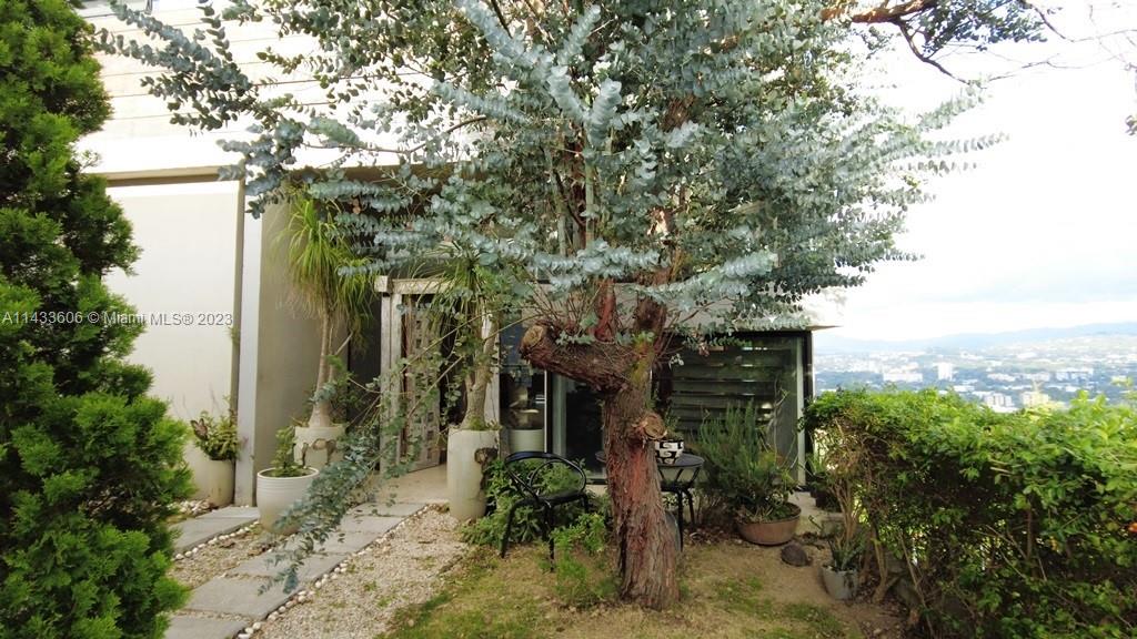 Cerro Real - Residential