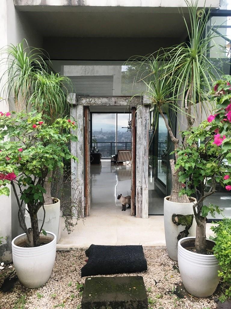 Cerro Real - Residential