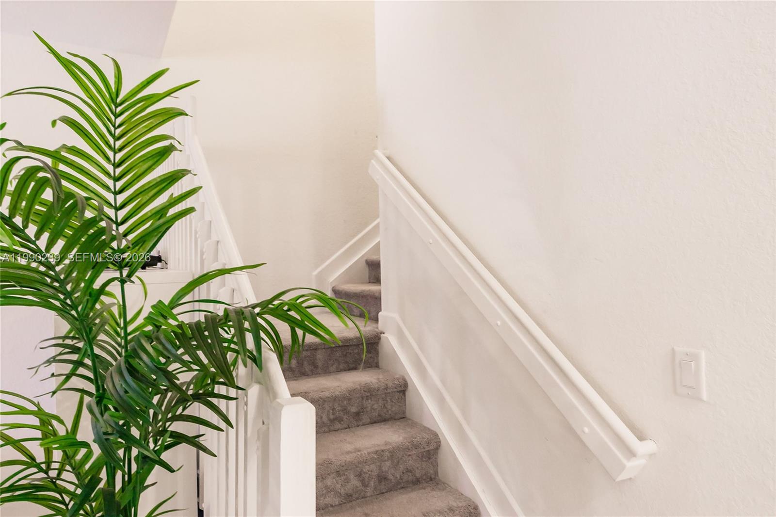 ALEXANDER HAMILTON NATION - Residential