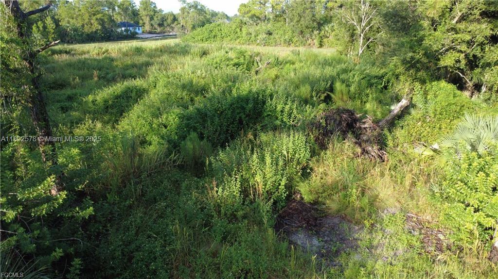 Lehigh Acres - Land